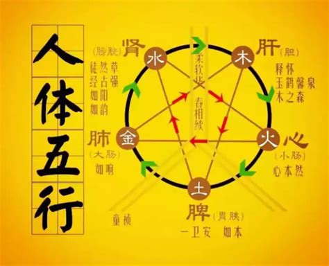 營造業 五行|看看你的工作屬於五行中的哪一種